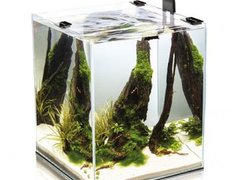 Acvariu Aquael Shrimp Smart 10 20x20x25cm