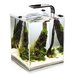 Acvariu Aquael Shrimp Smart 10 20x20x25cm